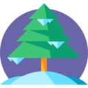 nature,trees,park,woods,forest,pines,pine,pine tree